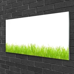 tulup.si Slika na steklu Grass nature rastlin 100x50 cm 2 obešalnika