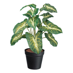 Veštačka Biljka Syngonium