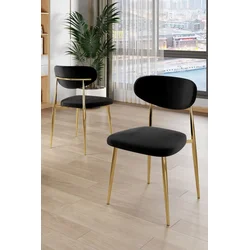 HANAH HOME Set stolica (4 komada) Vina Black Gold