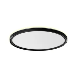 Prezent 27314 - LED plafonsko svetlo za kupatilo CORDIA LED/24W/230V IP54 crno