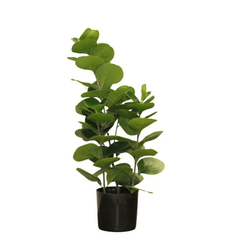 Dekordom Cvet u saksiji - douban yh1908-55cm-66l - 55cm - n55 ( 025084 )