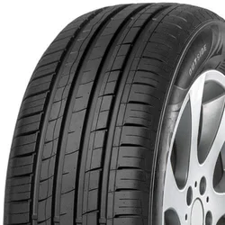 Minerva F209 ( 205/50 R15 89V XL )