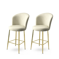 Hanah Home Set barskih stolica Fora, 2 komada, Krem-zlatni