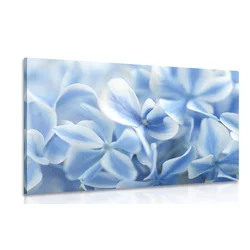 Slika hortenzije v modri belem pridihu - 60x40