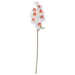 SMYCKA Umetna roža, notranji/zunanji/orhideja bela, 60 cm