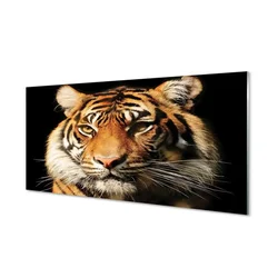 tulup.si Steklena slika Tiger 140x70 cm 2 obešalnika