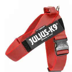 Julius-K9 IDC oprsnica, rdeča Mini (16IDC-M-R-2015) novi model