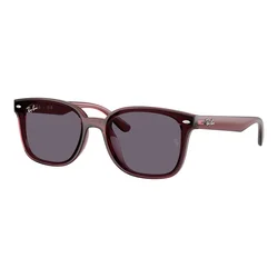 Ray-Ban Naočare za sunce RB 4461D 659373