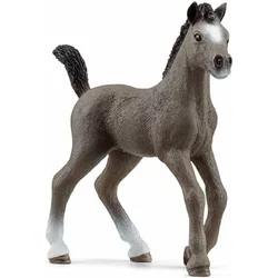 13957 - Horse Club - žrebe Cheval de Selle Francais