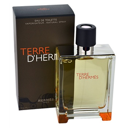 Hermes Terre DHermes toaletna voda za moške 200 ml