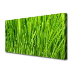 tulup.si Slika na platnu Grass nature rastlin 100x50 cm