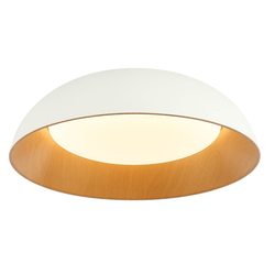 LED plafonska lampa FK2005-66C WH