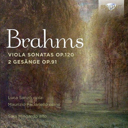 BRAHMS:VIOLA SONATAS OP.120
