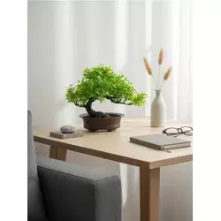 Sinsay - Bonsai drvo u saksiji - zeleno