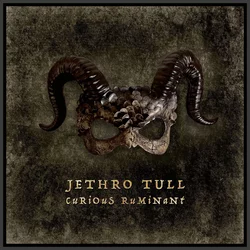 Jethro Tull - Curious Ruminant (Digipak) (Special Edition) (CD)