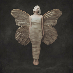 Aurora ( Singer ) - All My Demonds Greeting Me (CD)
