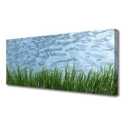tulup.si Slika na platnu Voda grass nature 125x50 cm