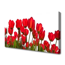 tulup.si Slika na platnu Rože na steni 120x60 cm
