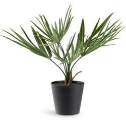 Veštačka biljka PAUL V33 cm zelena