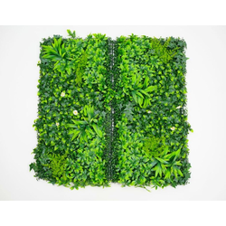 Zeleni zid 3D Tara 3, 100x100 cm