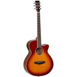 Tanglewood TW4 SB Winterleaf elektro-akustična gitara