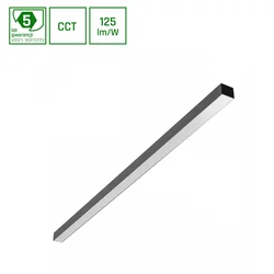 ALLDAY Basic 40W CCT IP20 crna