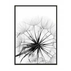 shumee SLIKA, PLAKAT V OKVIRJU 33x43 cm Regrat P505
