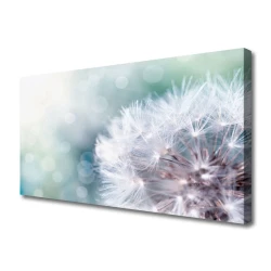 tulup.si Slika na platnu Dandelion rastlin 100x50 cm