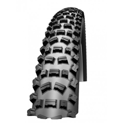 PLAŠČ SCHWALBE FAT ALBERT EVO SS 26X2.25