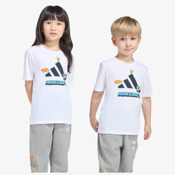 adidas Minecraft