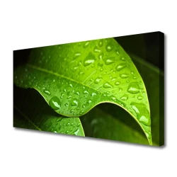 tulup.si Slika na platnu Dew drops leaf 125x50 cm