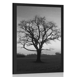 Plakat očarljivo drevo v črnobeli varianti - 20x30 black