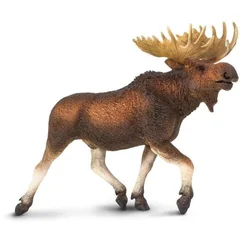 Safari Mokrinski los XL