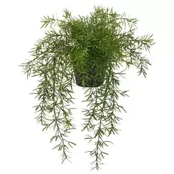 FEJKA Veštačka biljka u saksiji, unutra/spolja špargla/viseće, 12 cm