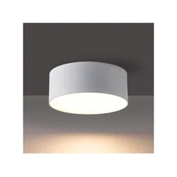 Brilagi - LED plafonsko svetlo za kupatilo FORIS LED/14W/230V, prečnik 12 cm, belo, IP44