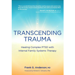 Transcending Trauma