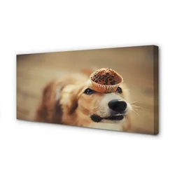 tulup.si Slika na platnu Pes bun 125x50 cm