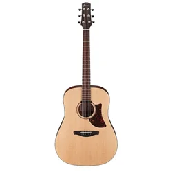 Ibanez AAD100E-OPN