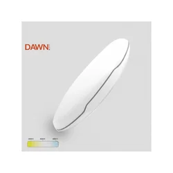 DAWN DCL101 Plafonjera, LED, 24W, 3000/4000/6000K, IP54