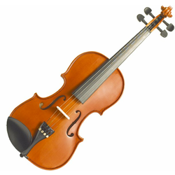 Stentor Violin 3/4 Student Standard