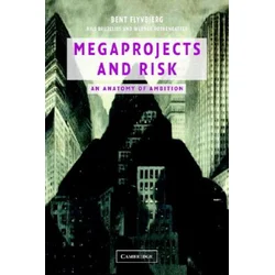 Megaprojects and Risk