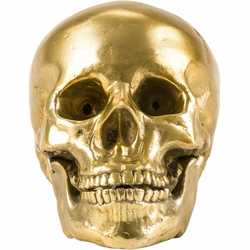 Aluminijska figurica WUNDERKAMMER HUMAN SKULL Seletti 20 cm srebro