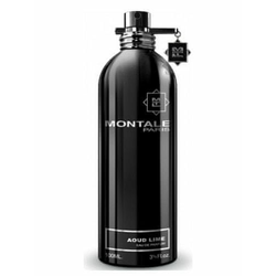 Montale Paris Aoud Lime - EDP 100 ml