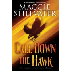 Call Down the Hawk (The Dreamer Trilogy, Book 1)