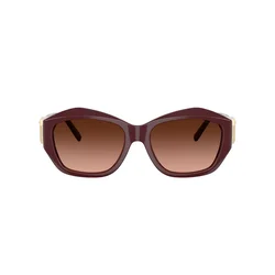 Tiffany Naočare za sunce TF 4233U 83895M