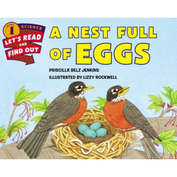Nest Full of Eggs