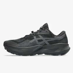 Asics Trabuco 14 GTX