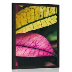 Plakat sveži listi - 60x90 no frame