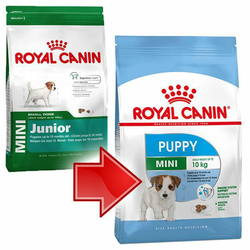 ROYAL CANIN Hrana za pse Mini Puppy 0.8kg