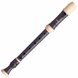 Aulos 503B